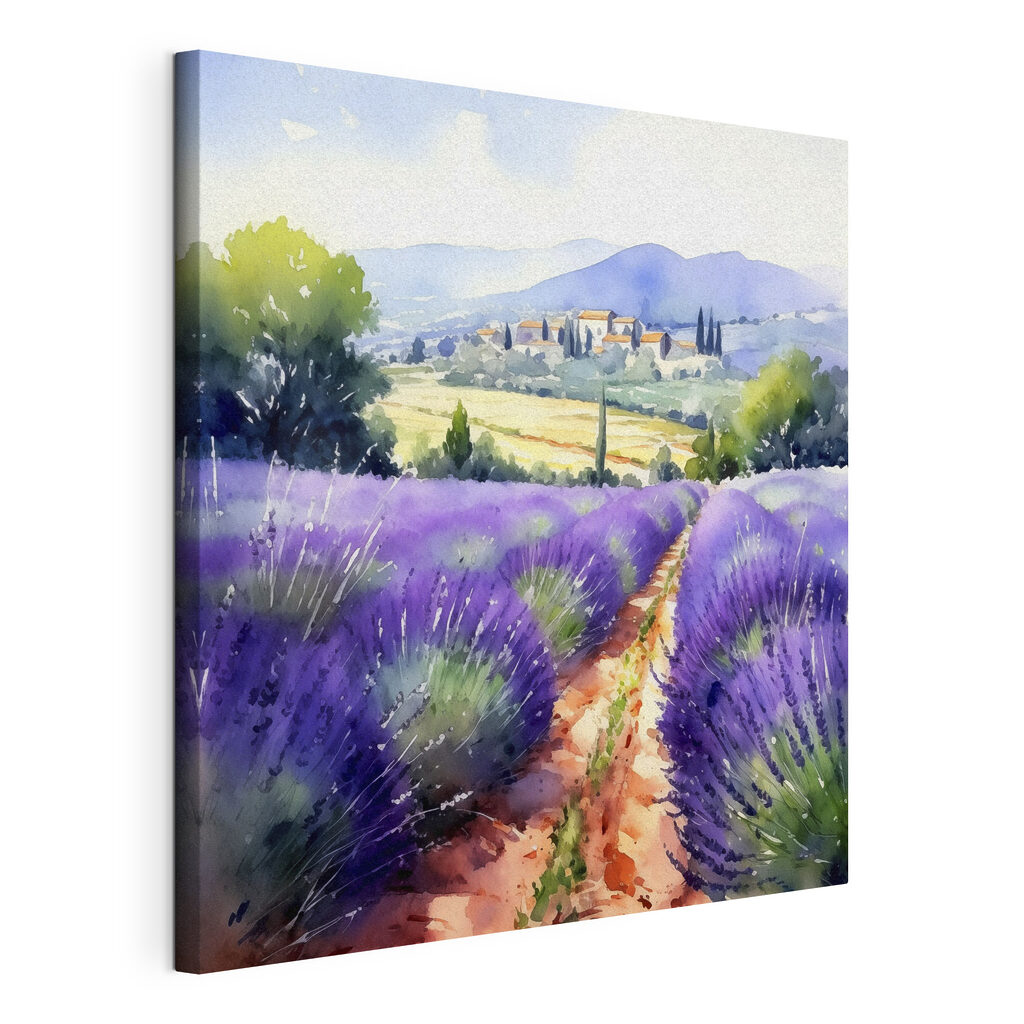 Caminho por entre lavanda, tela esticada e borda contínua