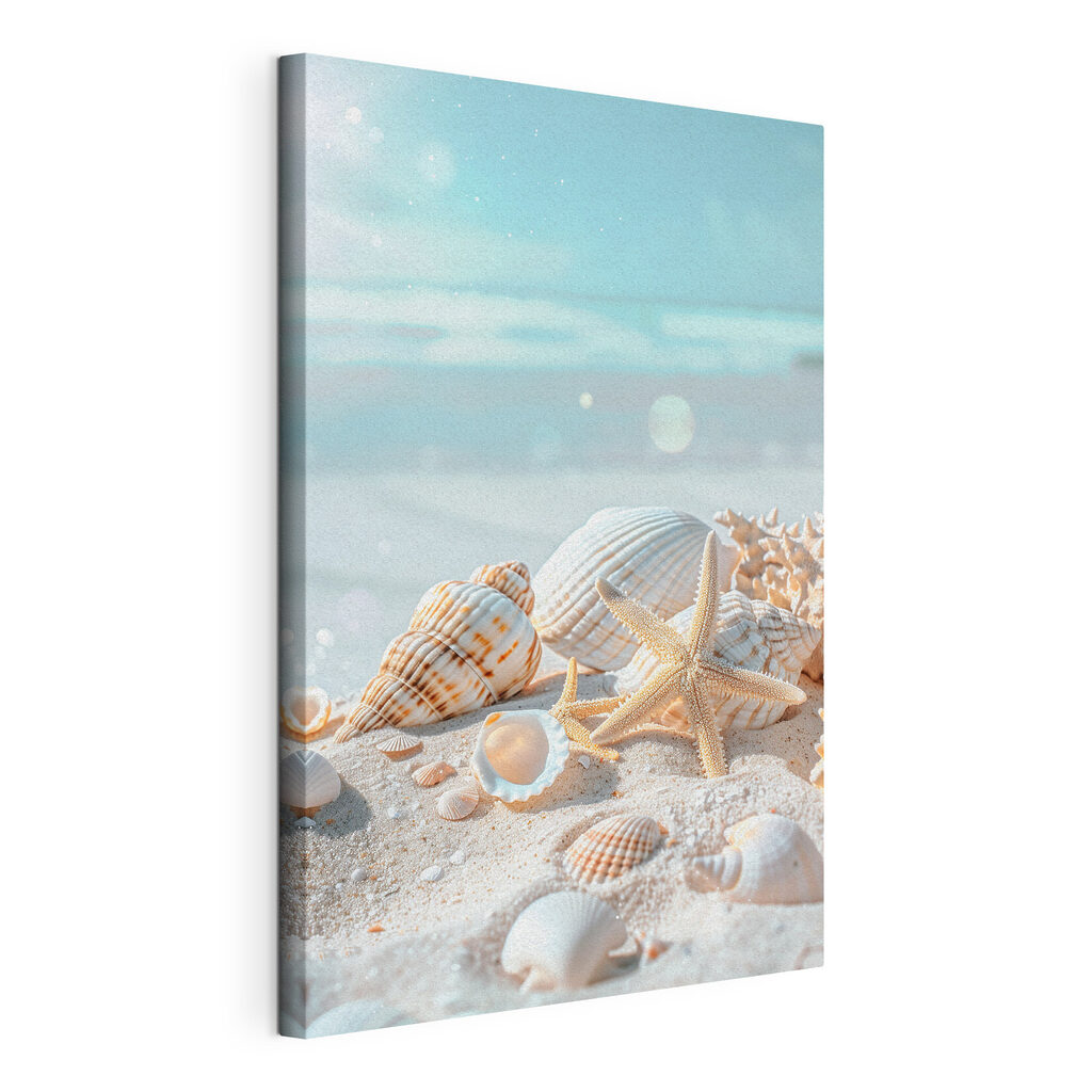 Conchas junto ao mar — vista do produto