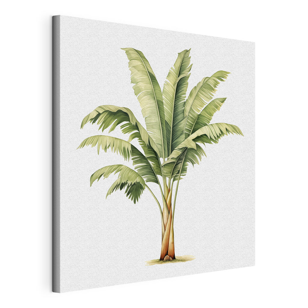 Bananeira em aguarela — vista do produto