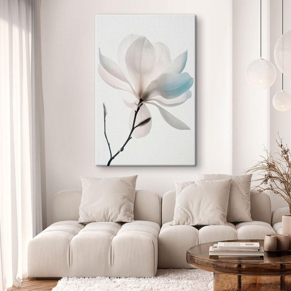 Magnólia branca em flor — interior 1