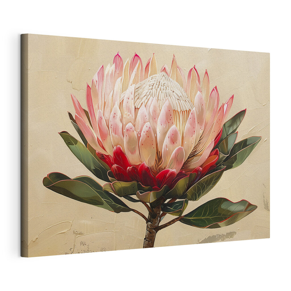 Protea aberta, tela esticada e borda contínua