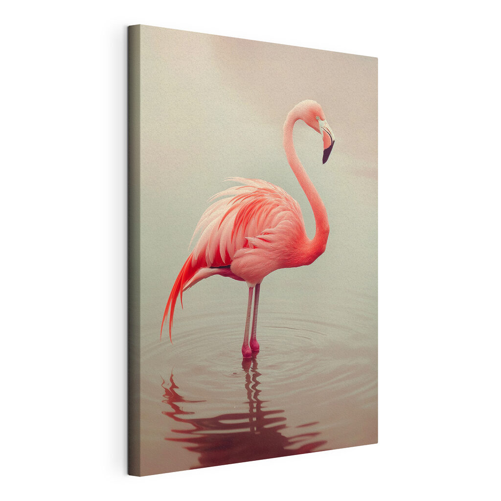 Flamingo em água calma, tela esticada e borda contínua