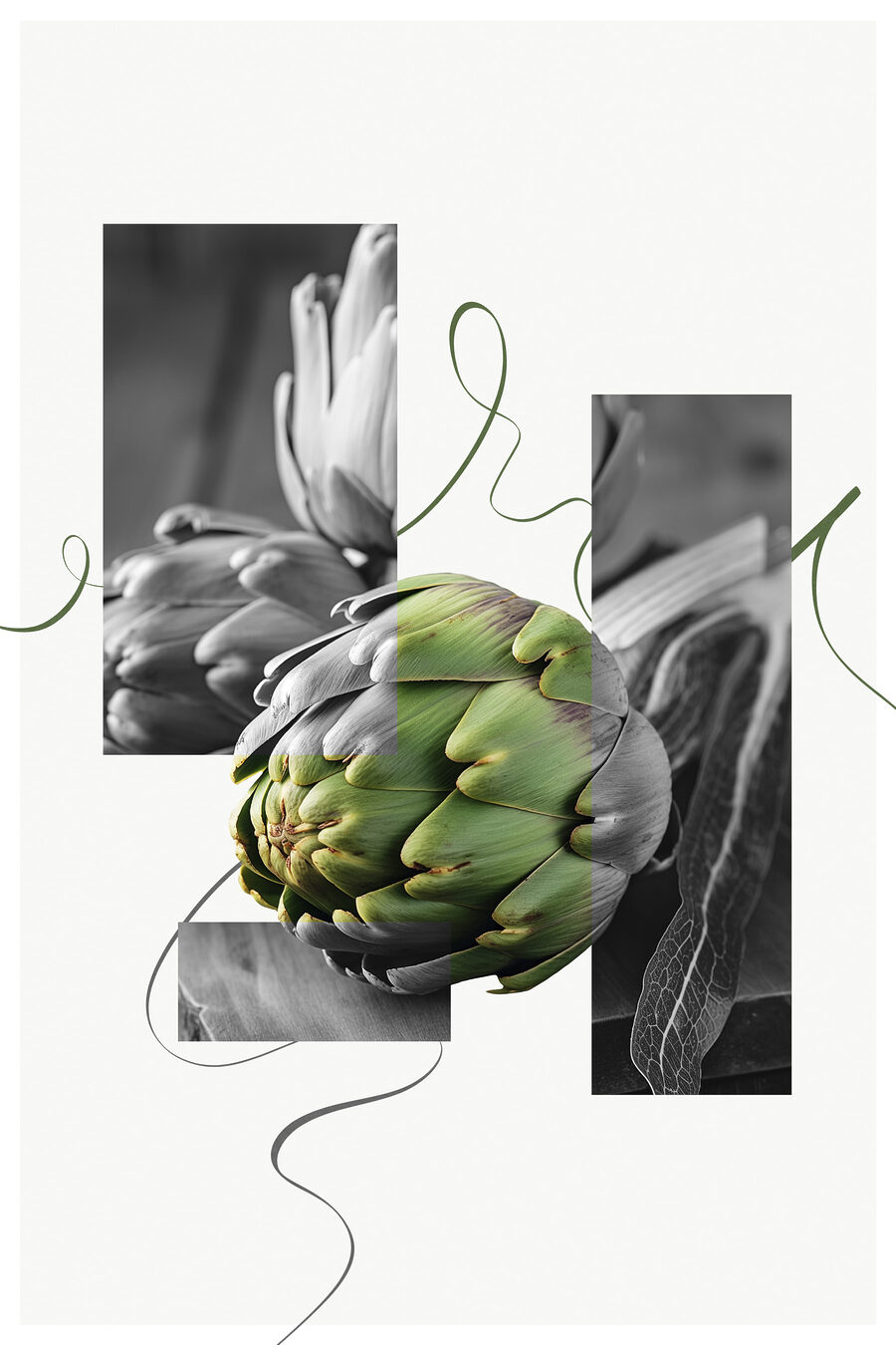 Alcachofra entre recortes — design completo