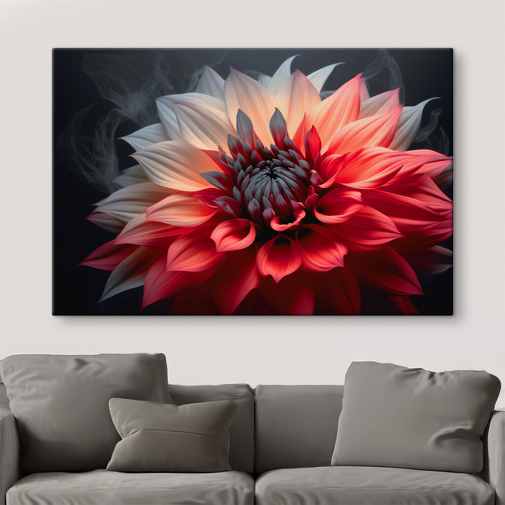 Dália em duas cores — interior 1