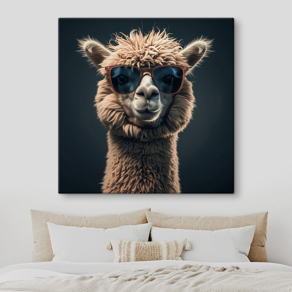 Lama com óculos escuros — interior 2