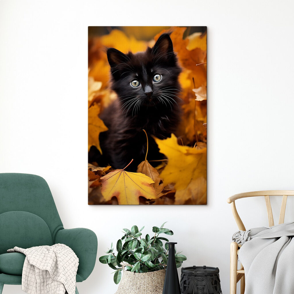 Gatinho preto entre folhas — interior 1