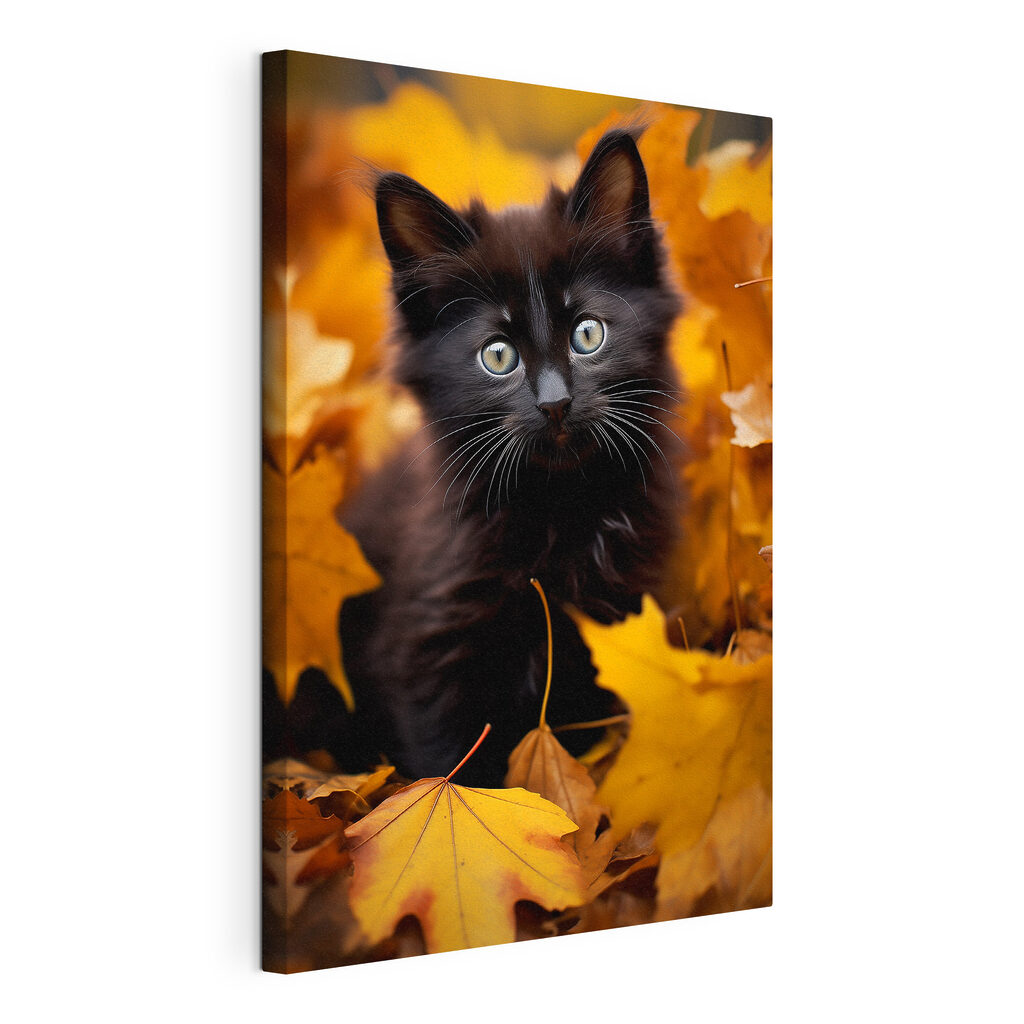 Gatinho preto entre folhas, tela esticada e borda contínua