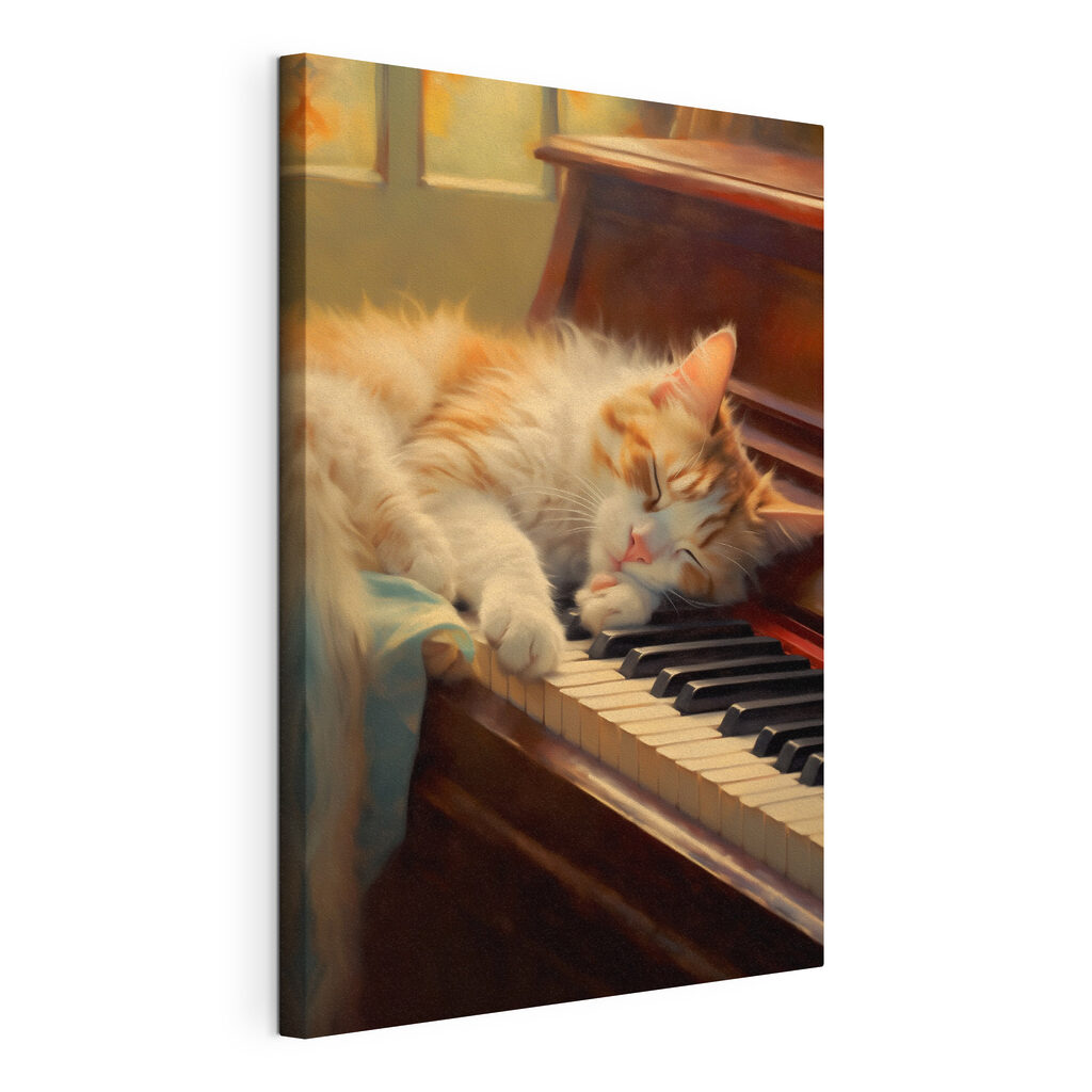 Gatinho adormecido no piano, tela esticada e borda contínua