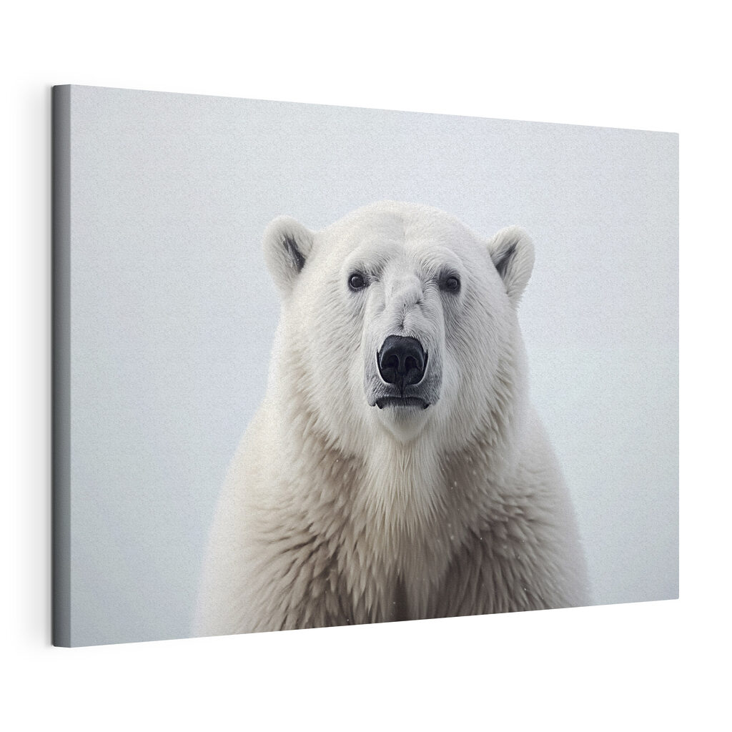 Urso-polar em silêncio azul, tela esticada e borda contínua