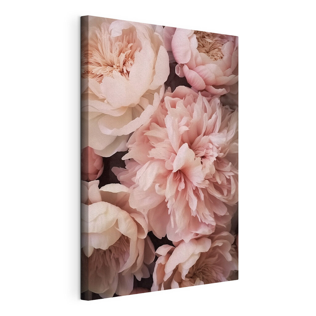 Peónias rosa suave, tela esticada e borda contínua