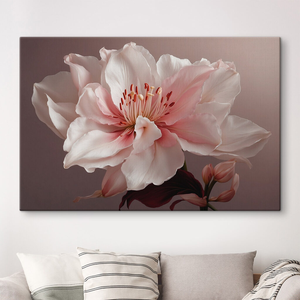 Flor rosa e branca — interior 1