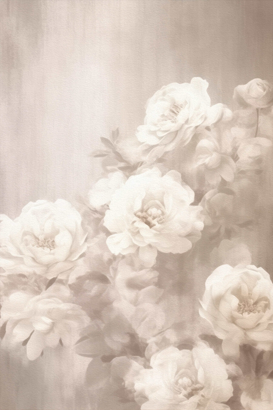 Rosas brancas em faixas — design completo