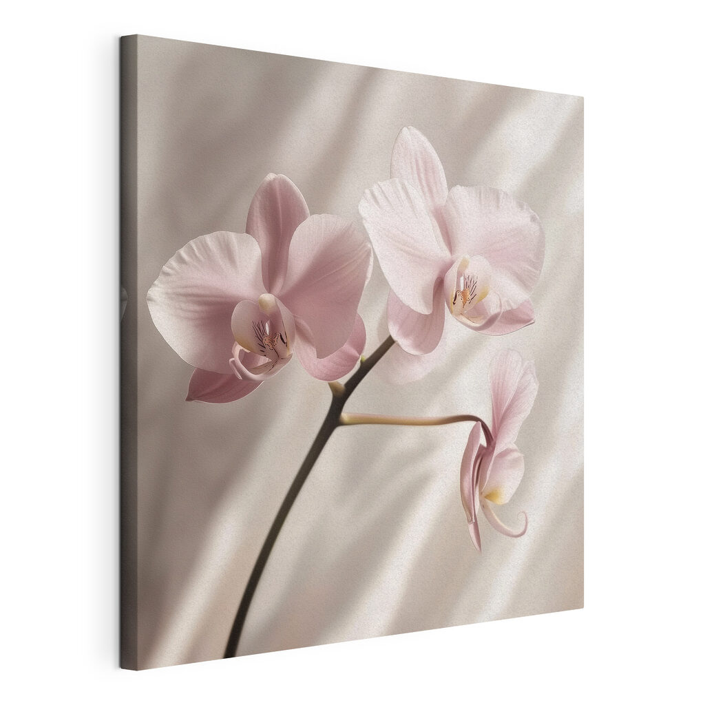 Orquídea cor-de-rosa, tela esticada e borda contínua