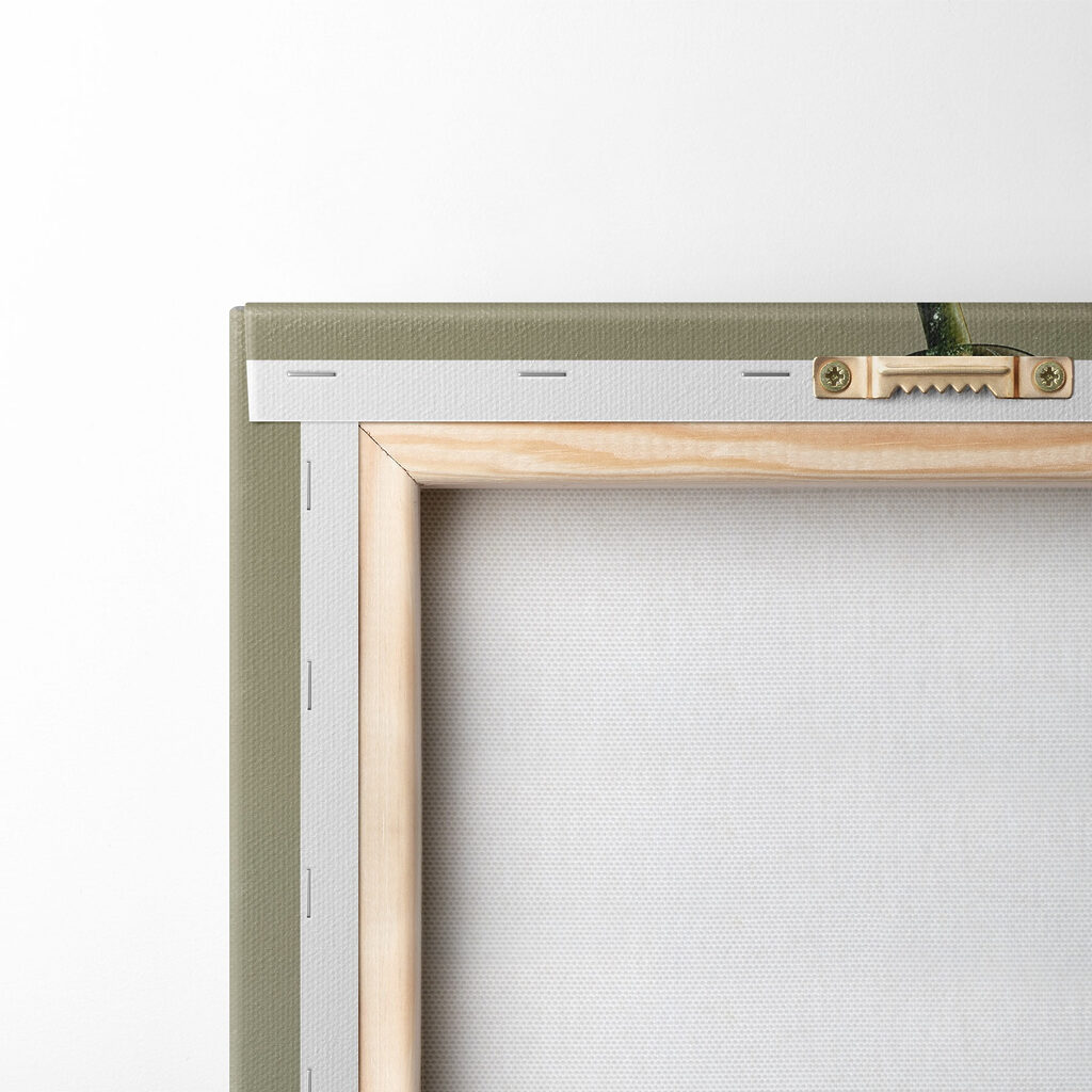 Abacate verde brilhante — verso