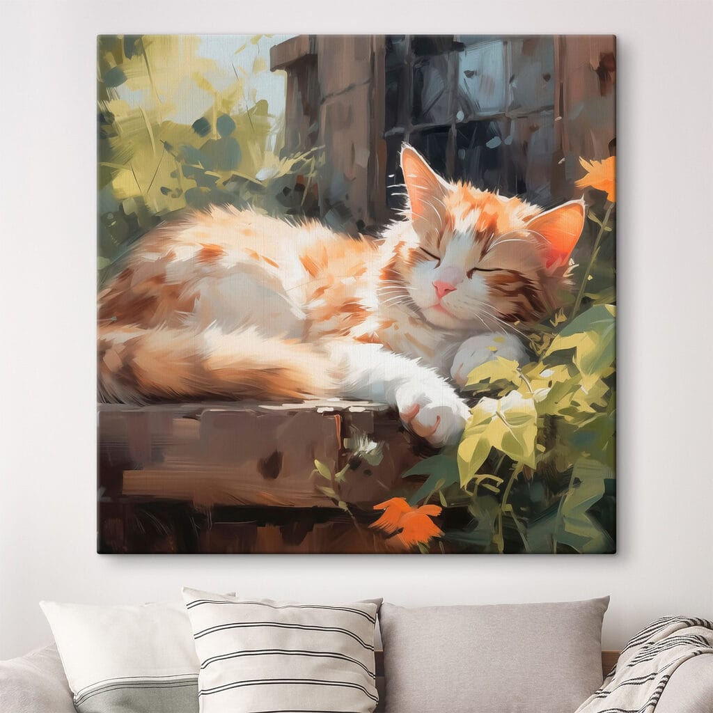Gato adormecido ao sol num interior
