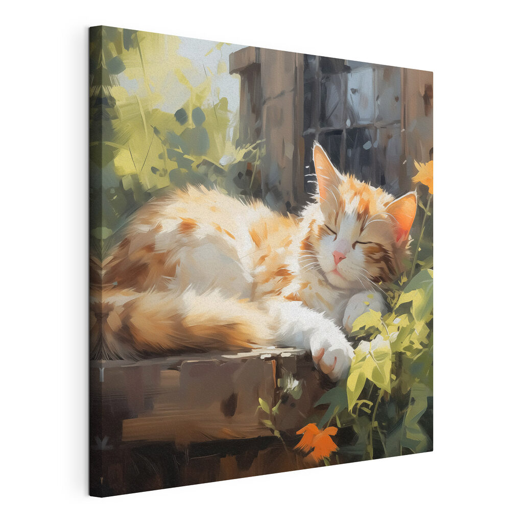 Gato adormecido ao sol, tela esticada e borda contínua