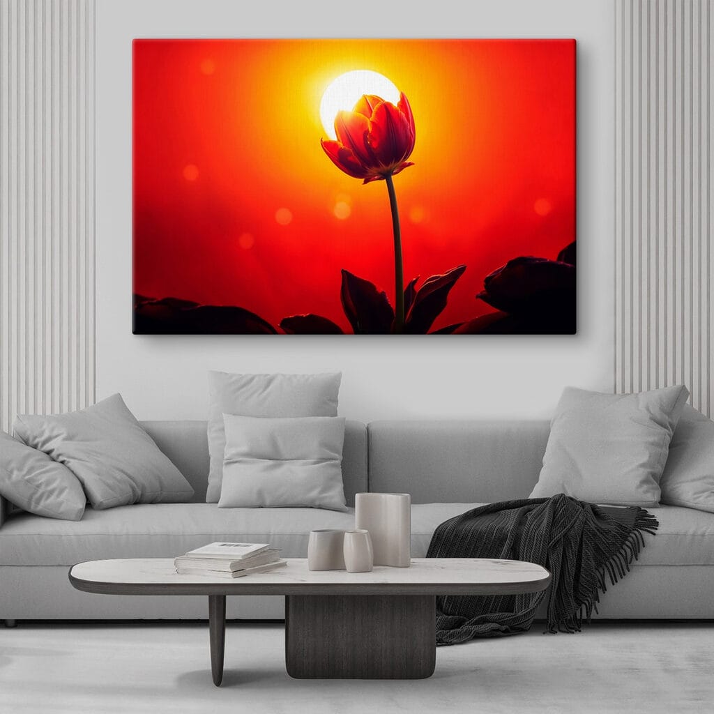Tulipa contra o sol — interior 2