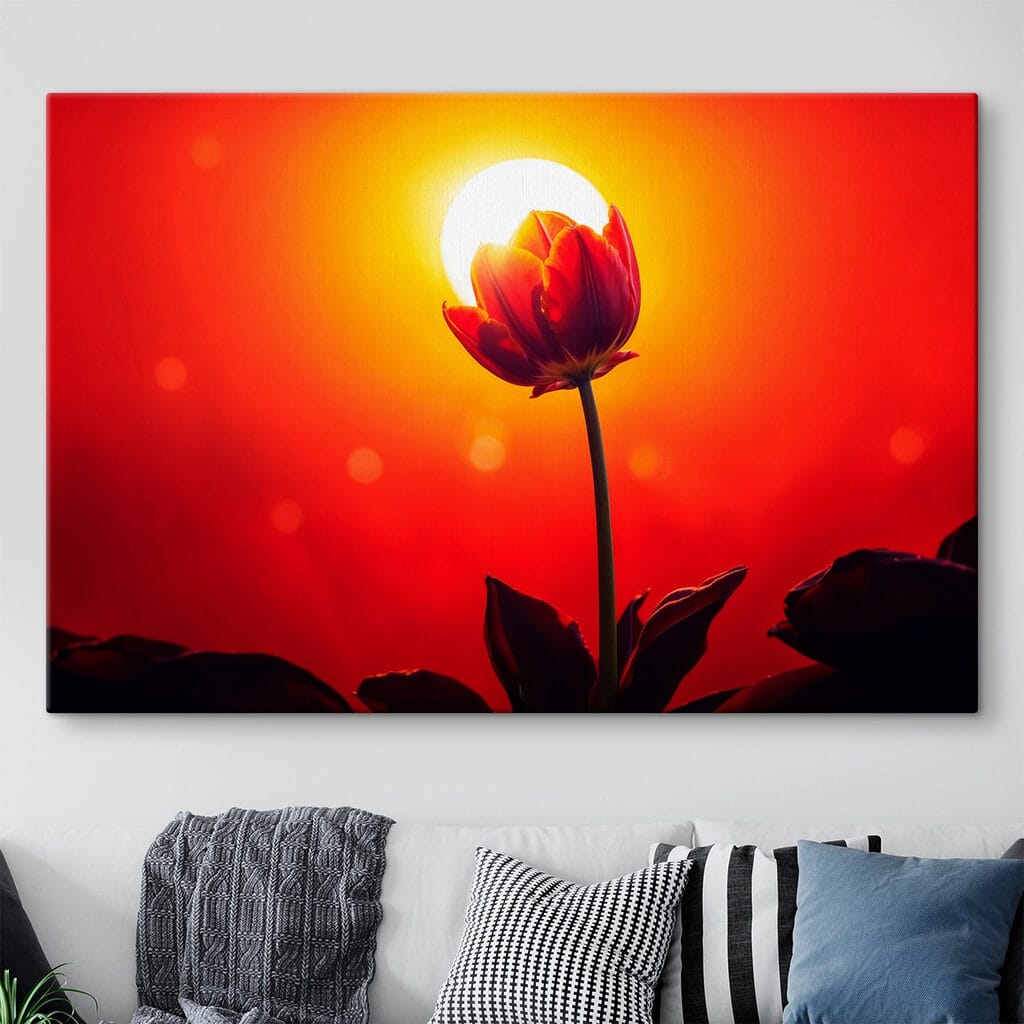 Tulipa contra o sol — interior 1