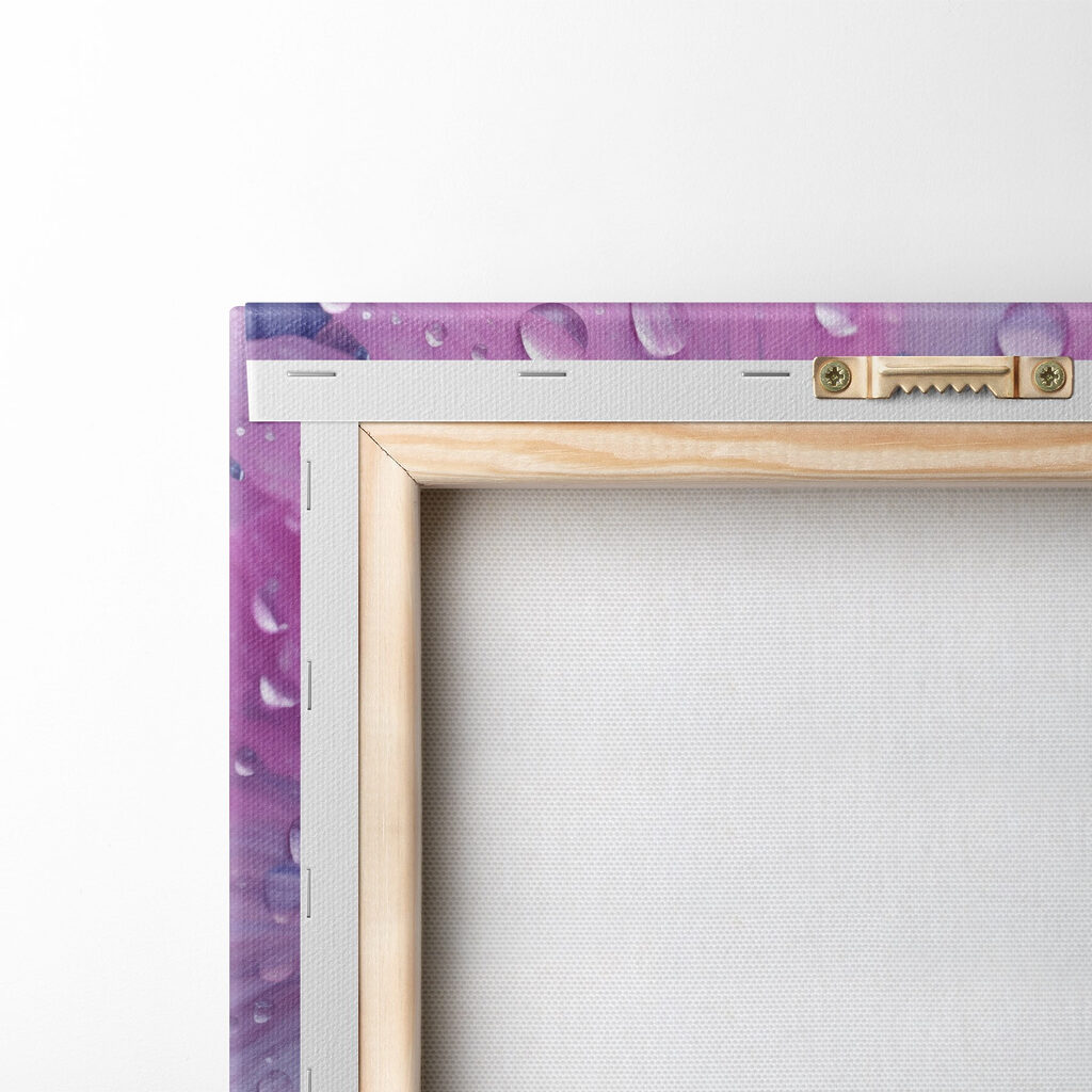 Flor cor-de-rosa com gotas — verso