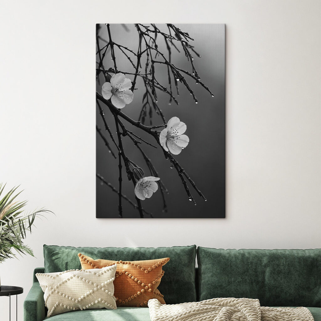 Flores brancas na chuva — interior 1