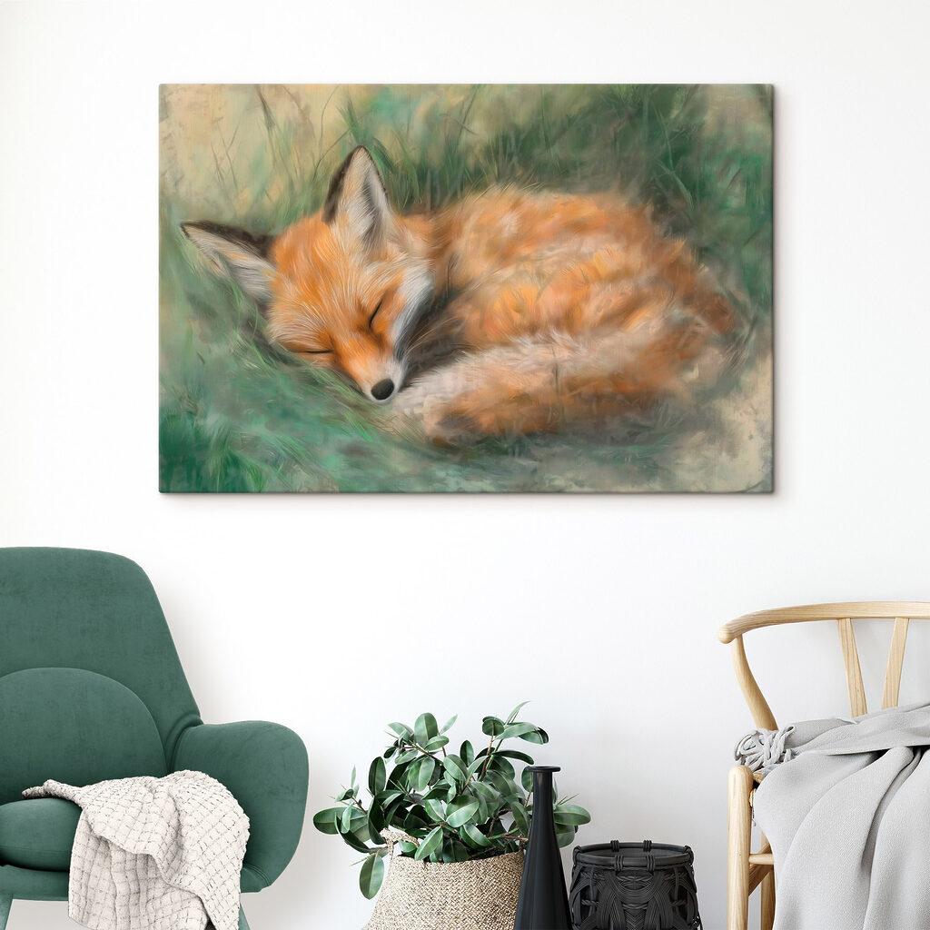 Raposa a dormir — interior 1