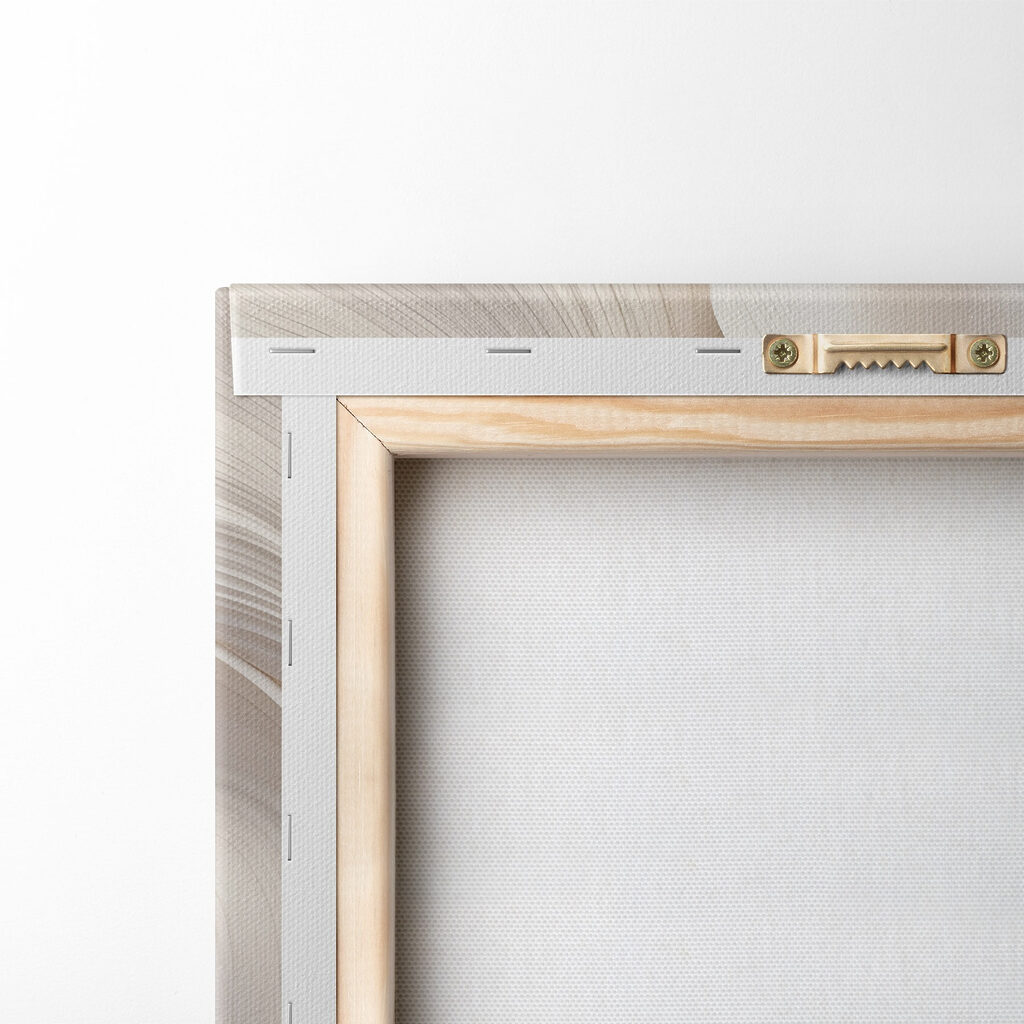 Formas curvas em creme — verso