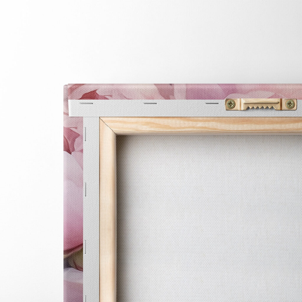 Peónias cor-de-rosa abertas — verso