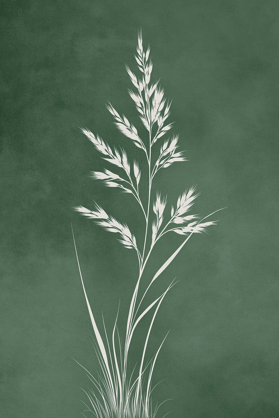 Pluma branca em verde-bosque — design completo