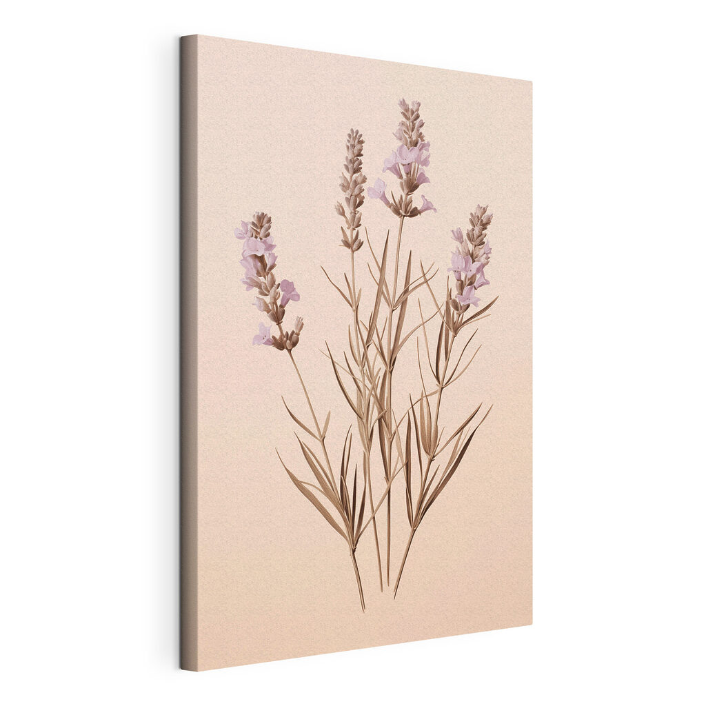 Lavanda sobre pêssego suave, tela esticada e borda contínua