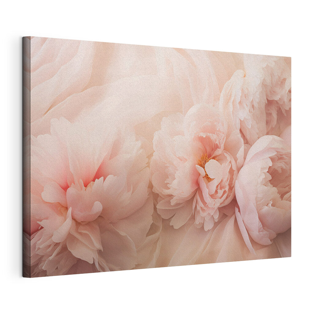 Peónias rosa entre ondas — vista do produto