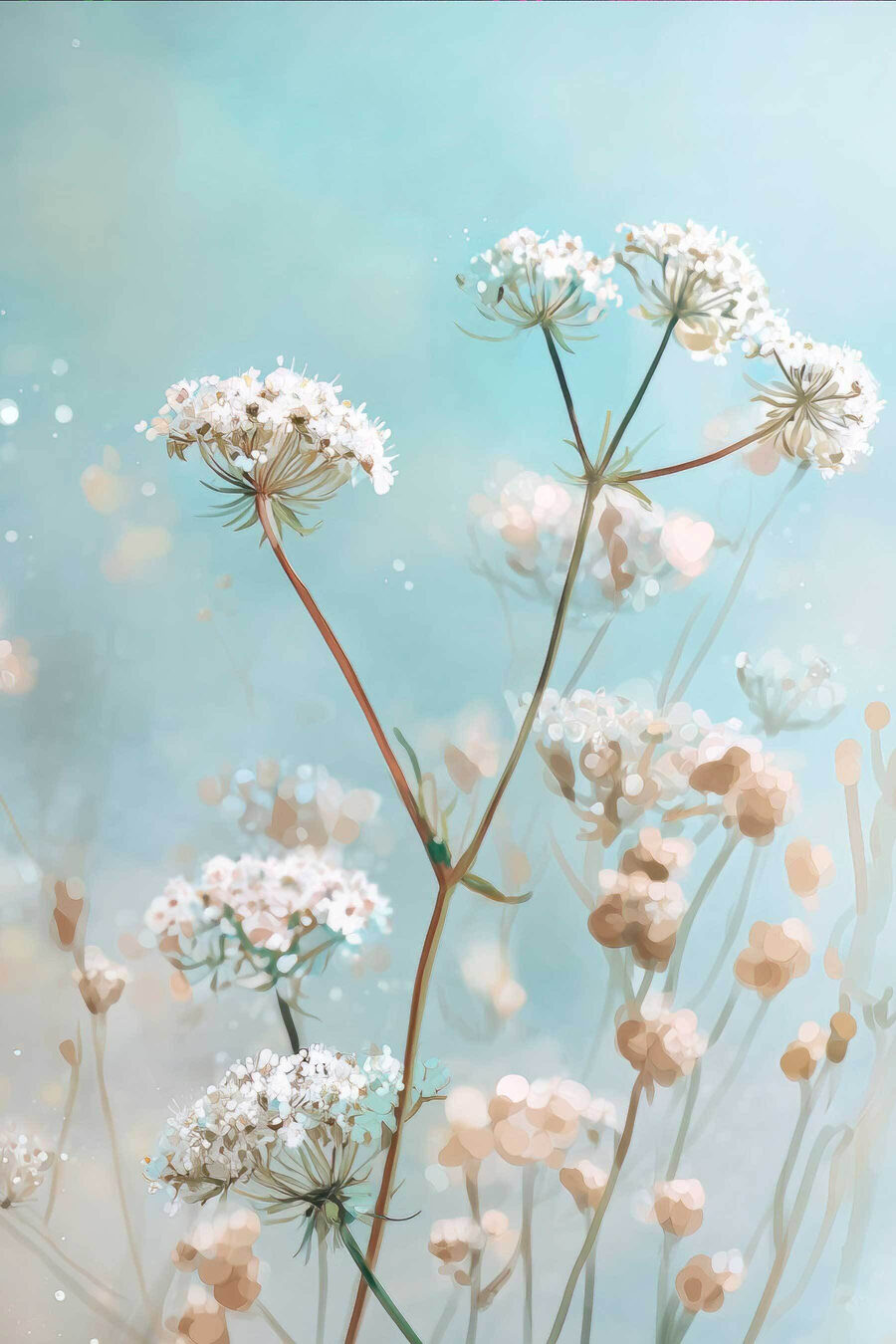 Umbelas brancas em azul — design completo