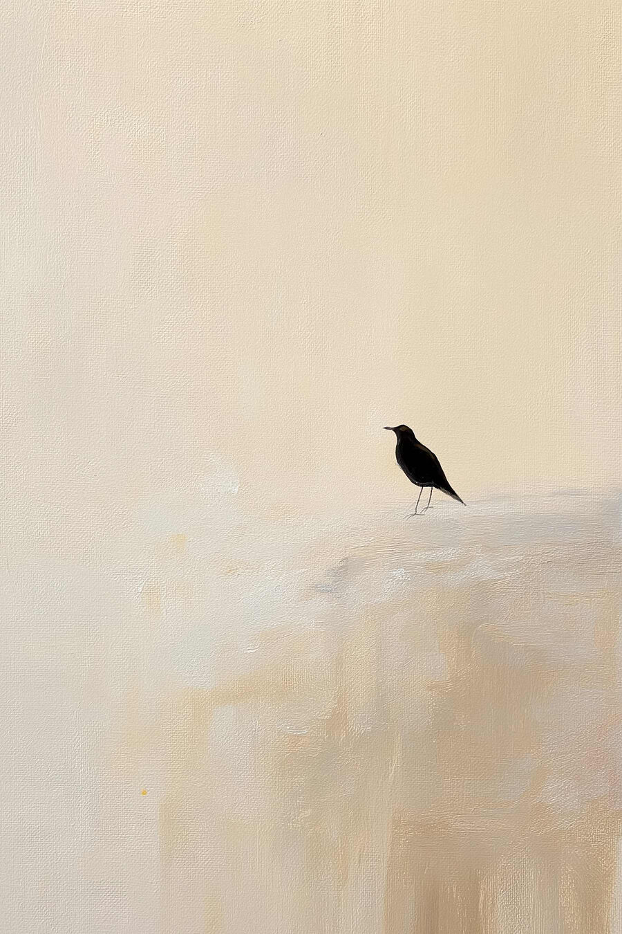 Ave solitária na areia — design completo