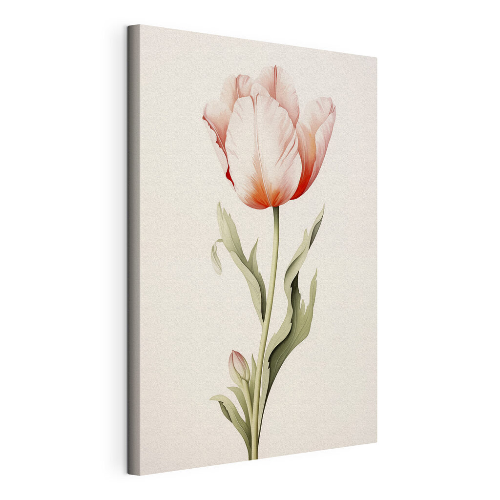 Tulipa rosa pálida, tela esticada e borda contínua