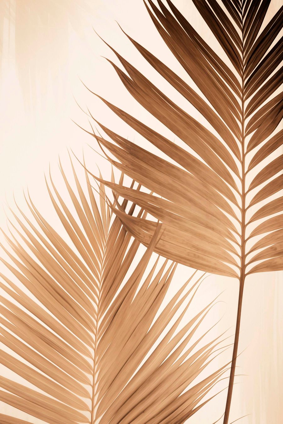 Folhas de palma castanhas — design completo