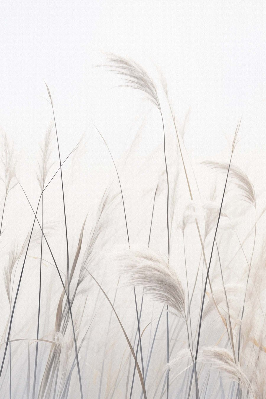 Plantas sobre fundo claro — design completo