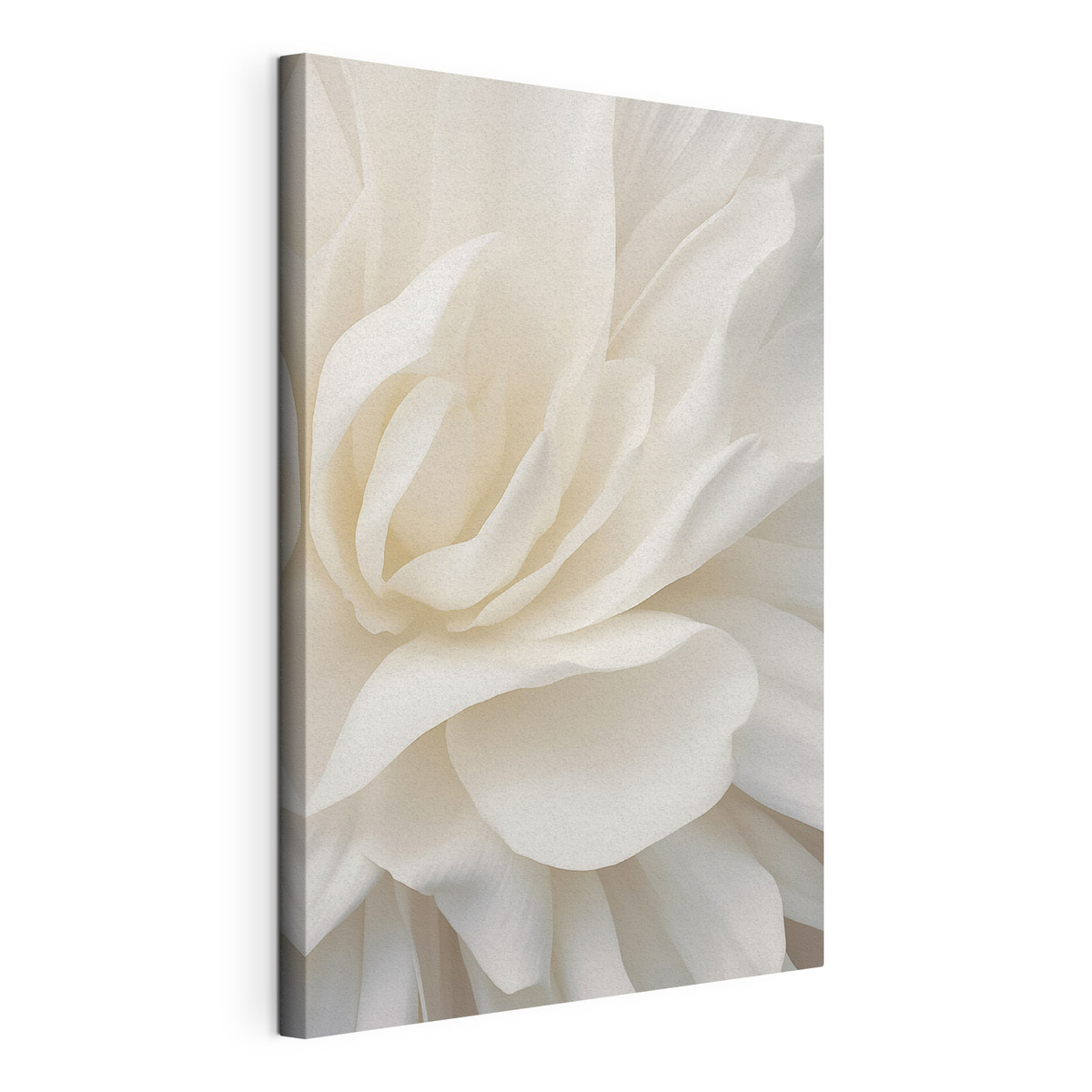 Flor branca abstrata, tela esticada e borda contínua