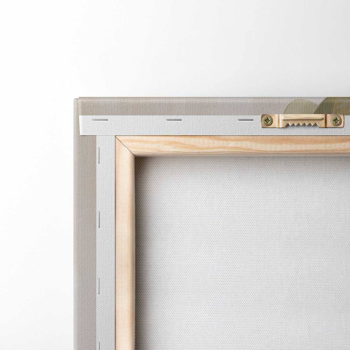 Ficus num vaso — verso
