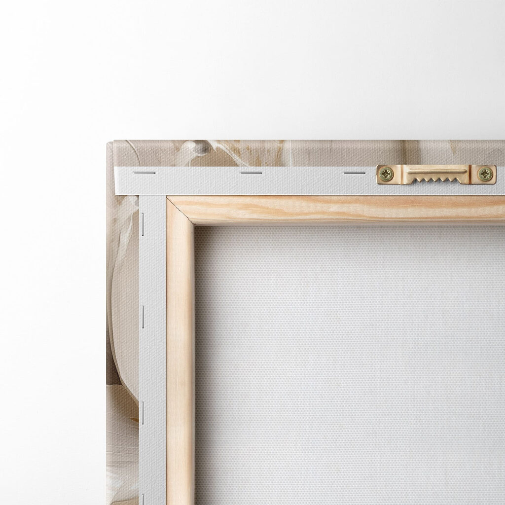 Flor de pétalas largas — verso