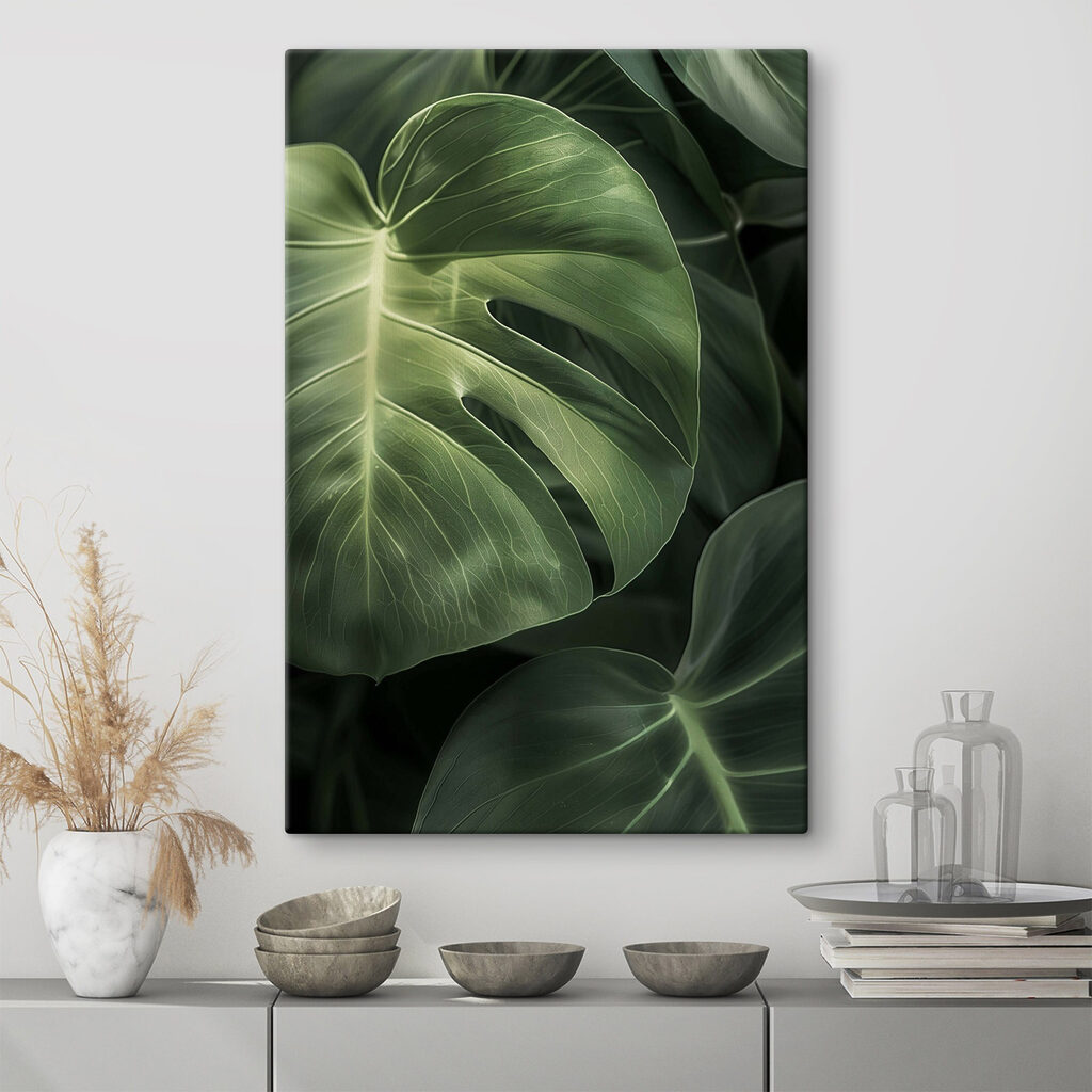 Monstera de nervuras claras — interior 1