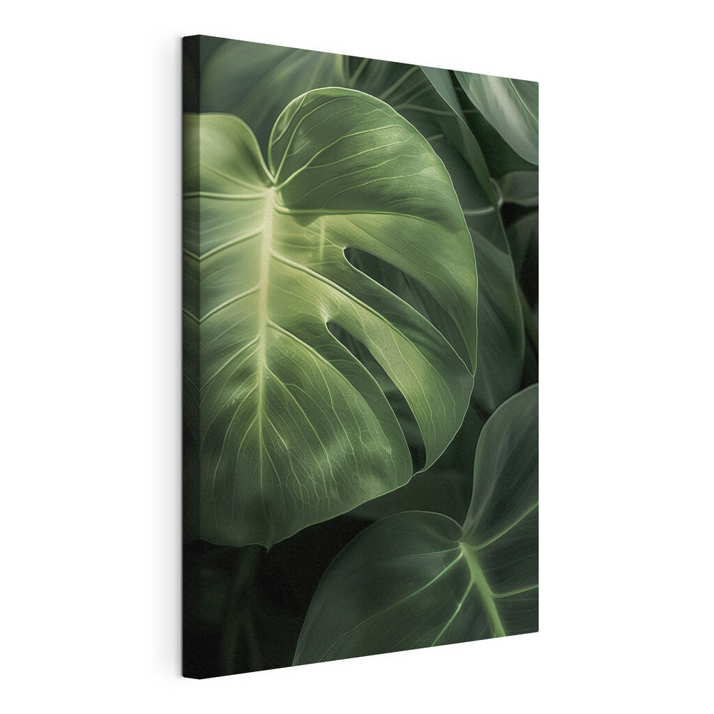 Monstera de nervuras claras, tela esticada e borda contínua