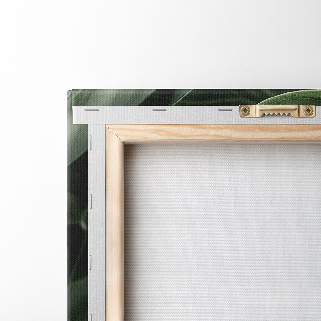 Monstera de nervuras claras — verso