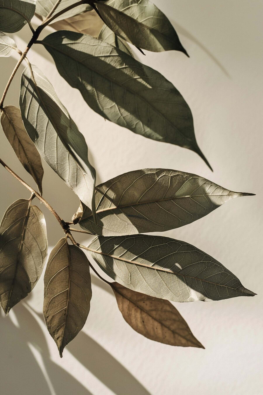 Folhas com sombra longa — design completo