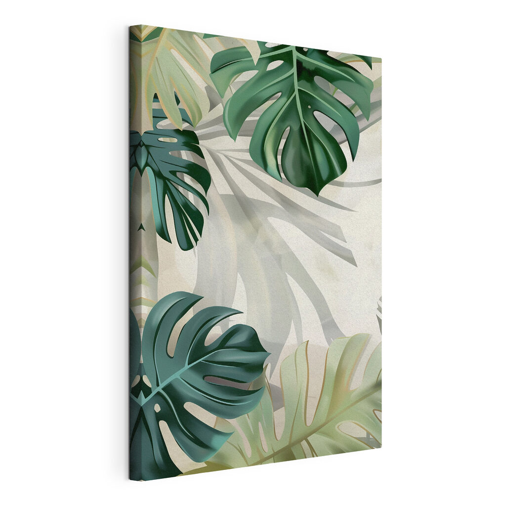 Monstera à sombra, tela esticada e borda contínua