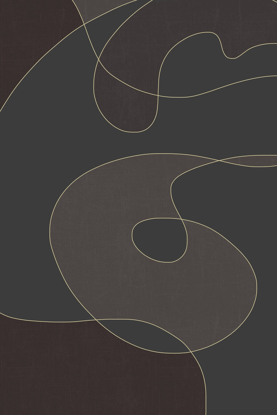 Laçadas finas em cinzento-escuro — design completo
