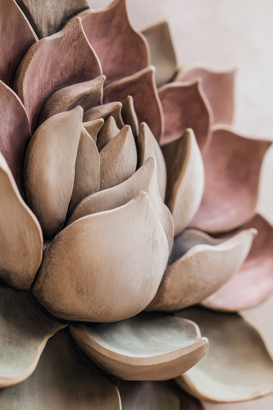 Suculenta em tons castanhos — design completo