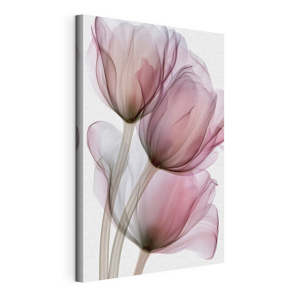 Três tulipas em malva, tela esticada e borda contínua