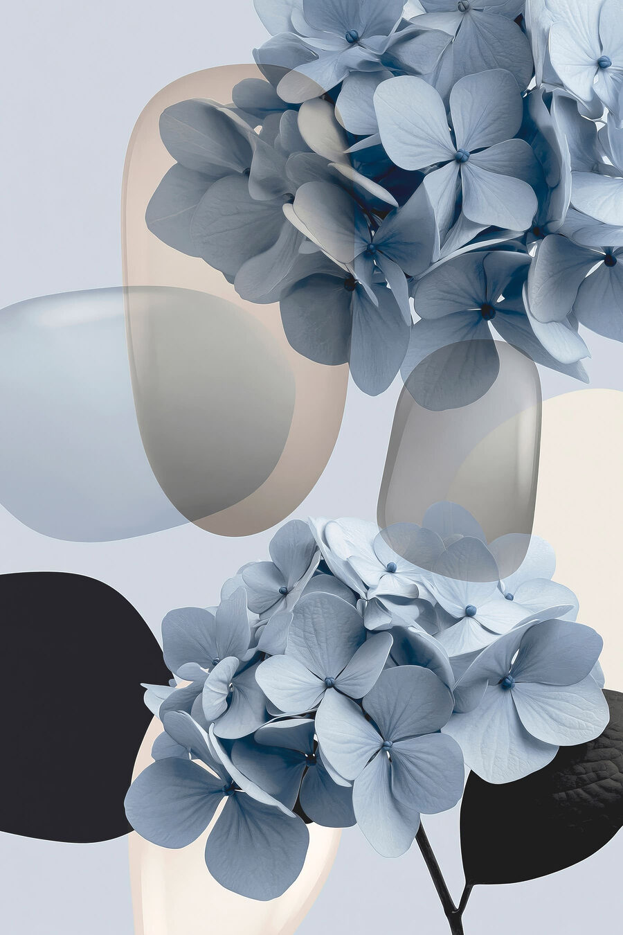 Hortênsias azuis entre curvas — design completo