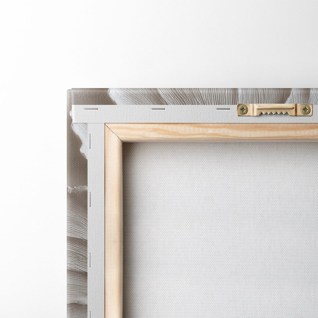 Bordas de folhas brancas — verso