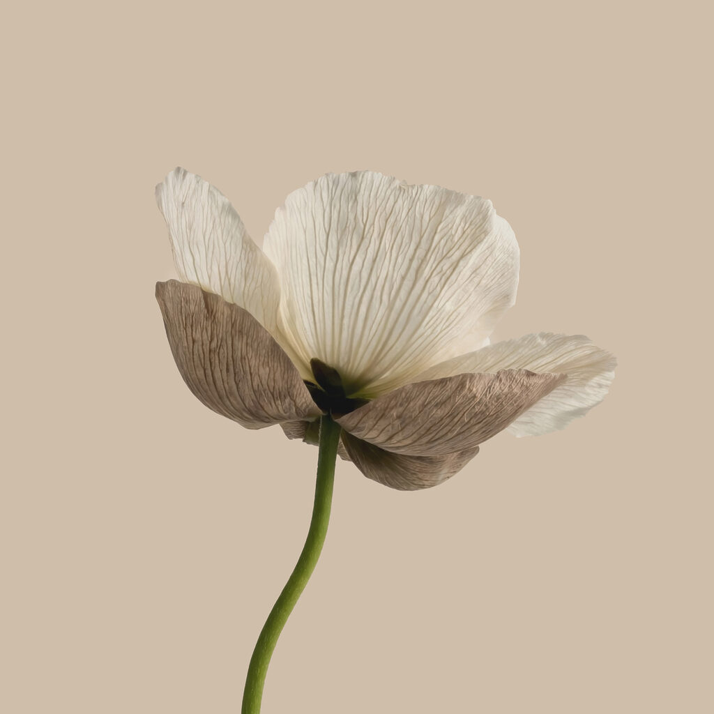 Flor em haste verde — design completo