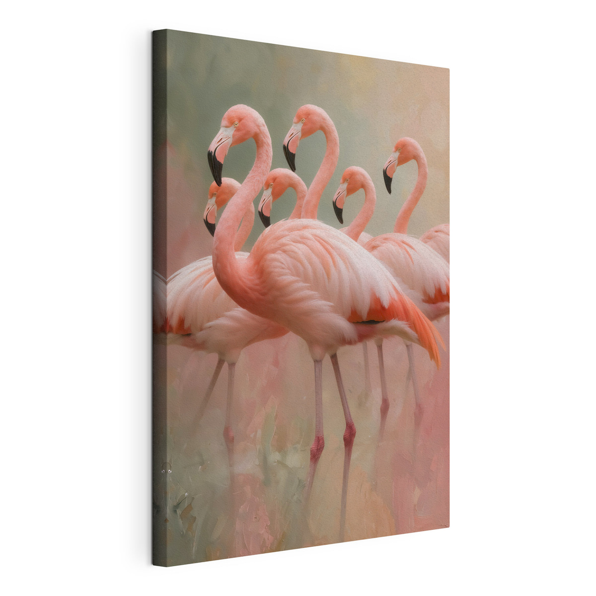 Bando de flamingos — vista do produto